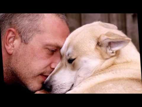 Jožo Ráž a Peter Nagy   - Psi sa bránia útokom   - D . Videos