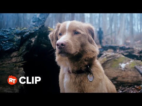 Good Boy Movie Clip - Whistle In the Woods (2025)