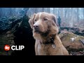 Good Boy Movie Clip Whistle In The Woods 2025