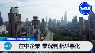 在中国の日本企業 業況判断が悪化 日中関係の緊迫化で【WBS】