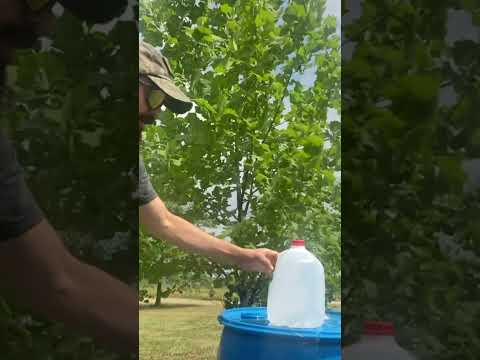 Becker BK 9 vs Milk Jug Cutting Test 🔪 #knife #knivescollection