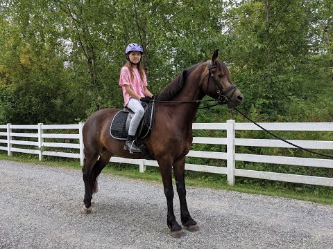 My first horseback riding lesson! :)