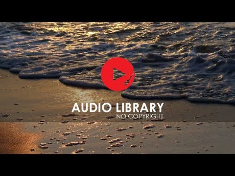 Calm Seashore - No Copyright Sound Effects - Audio Library
