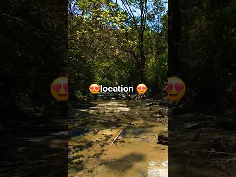 Explore Diary of Sujoy – Travel shorts #6 #reels #nature #cinematography #travel #viruls