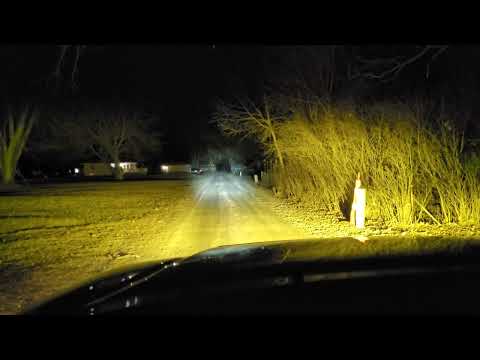 Diode Dynamics SS3 sport pods.