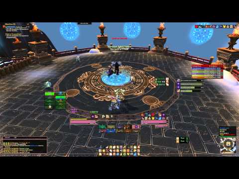 Amorphous vs. 10m Heroic Gara'jal the Spiritbinder. Holy Paladin PoV
