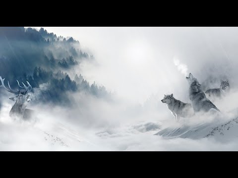 Kontra K - Keine Liebe ( Howling Wolfes Remix )