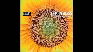 Lemongrass - Feel All The Time