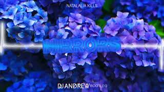 Natalia Kills - Mirrors (DJ ANDREW REMIX)