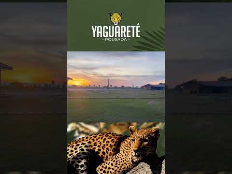 Este fin de semana vení y disfrutá de un lugar tranquilo en Pousada Yaguarete 🏕️📍Carmelo Peral