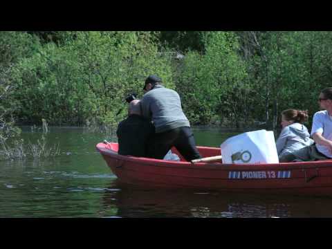 Behind The Scenes - Hjertesten Music Video - Tony Spataro