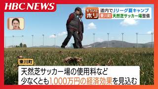 【Jリーグ夏キャンプ】北海道内で10チーム「1クラブ1億円弱の経済効果」の試算　C大阪の東川町は約5億円かけて天然芝を整備、柏の網走市は練習試合が課題