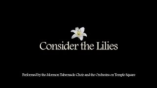 Consider the Lilies