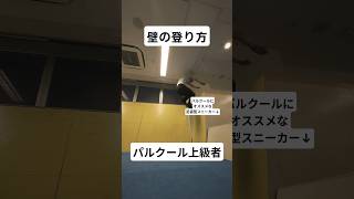 壁の登り方 #パルクール #parkour #ウォールラン #wallrun