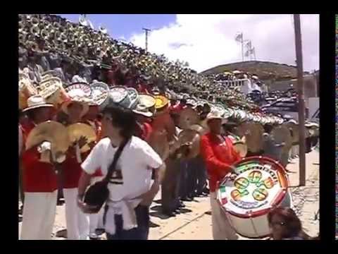 Festival de Bandas - Viva Viva Mi San Jose (HD)