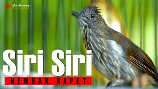 Download lagu SIRI SIRI GACOR FUL NEMBAK SUPER RAPET mp3 Download lagu SIRI SIRI GACOR FUL NEMBAK SUPER RAPET mp3