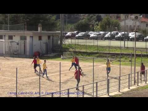 Camp. Calcio CSI: Am. P. Ferronuovo-Omnia Sport