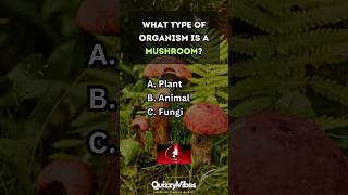 🌌 Science Quiz Challenge: Can You Get All 5 Right? 🧪