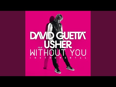 Without You (feat. Usher) (Instrumental)