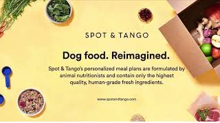 Spot & Tango UnKibble Puppy Taste Test