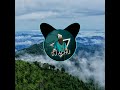 Kattu Poo Chelulloley തുടി Wayanad Tribal Song Dj Use Headphone ️
