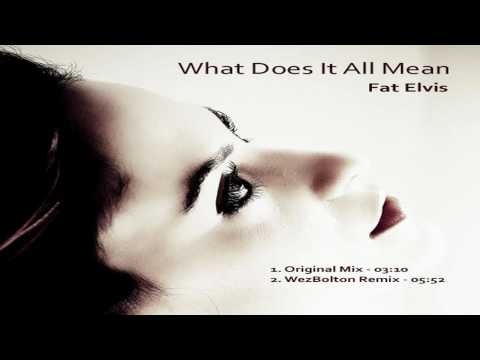 What Does It All Mean (WezBolton remix) - Fat Elvis