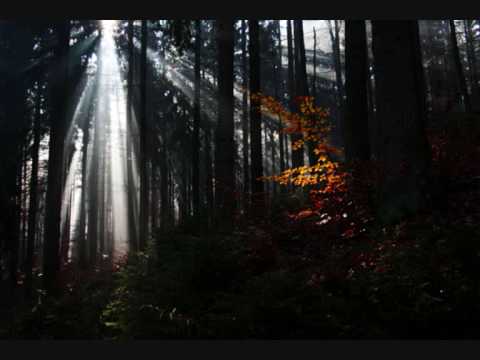 Lichtblick