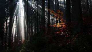 Lichtblick Music Video