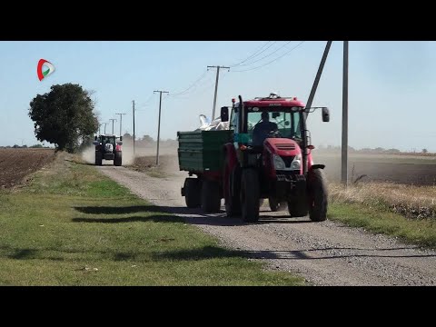 Pannon Gazda – 2025.09.19.