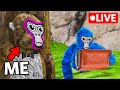 Heimlich Versteckt In Gorilla Tag Livestreams