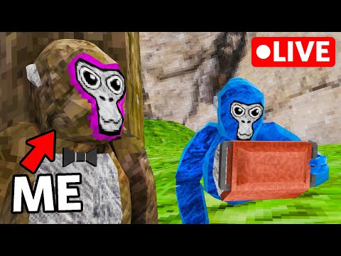 Secretly Hiding in Gorilla Tag Livestreams