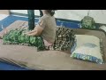 Pijat Tradisional Urut Mama Cantik Full Body