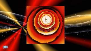 Stevie Wonder - Ordinary Pain