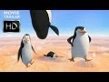 Penguins Of Madagascar Official Teaser Trailer DreamWorks Animations