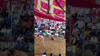Kusti Bhanthred 🤸🤸🤸