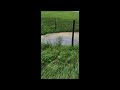 Flooding In Tennessee Transforms Roads Into Rivers