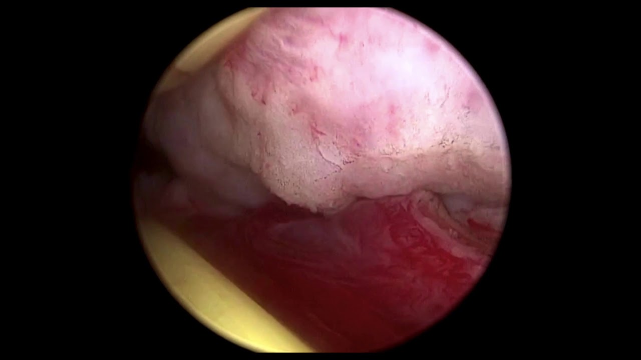 Gerardo Rodrigo Lemus Mena-15