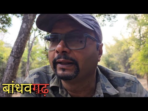 बांधवगढ़ राष्ट्रीय उद्यान । Bandhavgarh National Park Safari । Bandhavgarh Tiger Reserve Jeep Safari