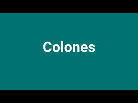 'Colones' Meaning and Pronunciation