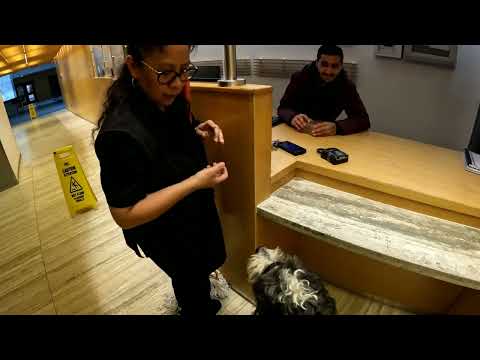 Max ♥️ Silvia & Jashan 🦘