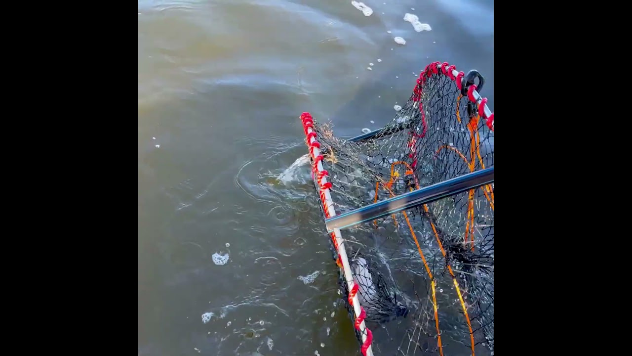 Prevent gear loss (trap and pot fishers)