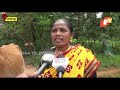 Row Over Ownership Of A Cow In Koraput