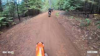 Forest Hill Sugar Pine Staging Area trail 7