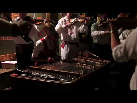 FF MIlotice 2016 - sklepy U Šidlen /  noční atmosféra  č.2