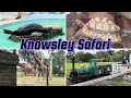 Knowsley Safari Park Liverpool England UK Wildlife Animals Entertainment Park Funny Day
