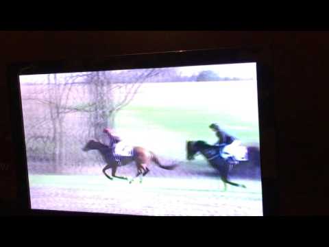McCrady's Fox Hunter Chase