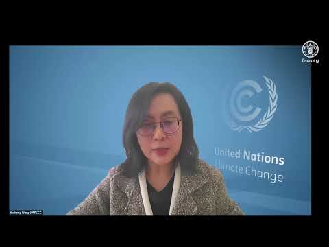 Enhancing Forest Data Transparency for Climate Action