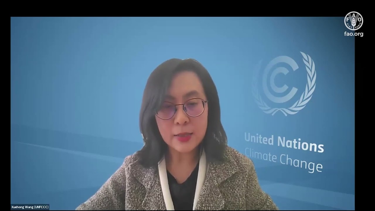 Enhancing Forest Data Transparency for Climate Action Webinar