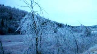preview picture of video 'ice storm savoy ma 2008'