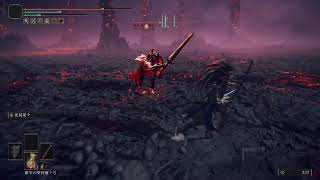 ELDEN RING 初見プレイ　インフルエンザなうです